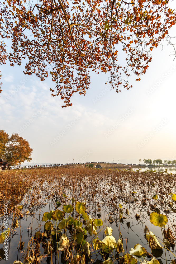 杭州西湖断桥秋景