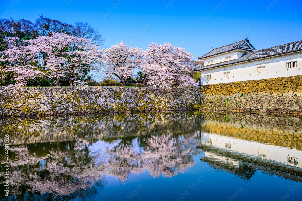 樱花在日本海根