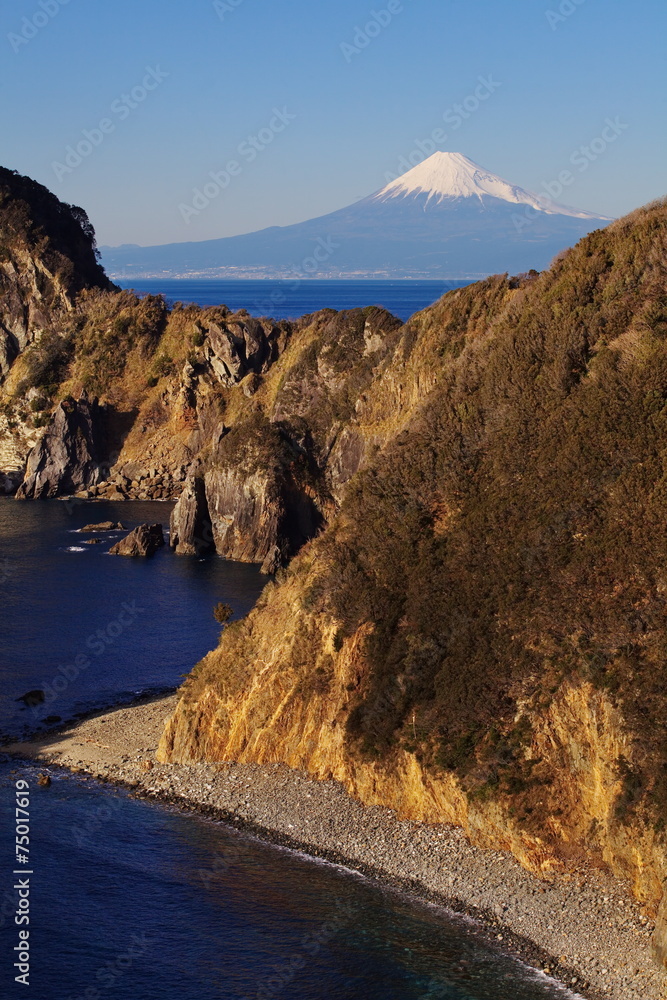 日本静冈县伊豆市的富士山和大海