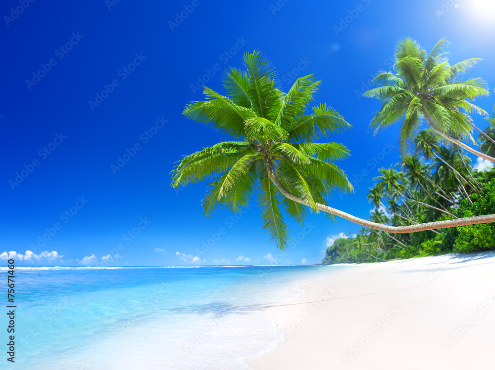 Tropical Paradise Beach