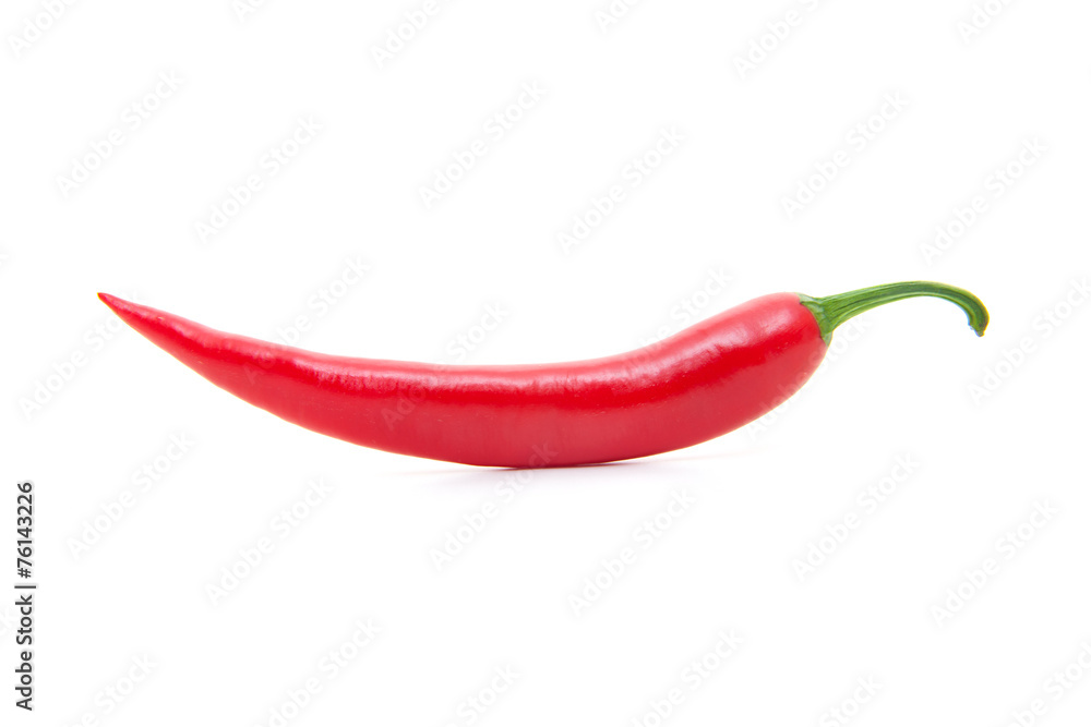 Red chili pepper. All on white background.