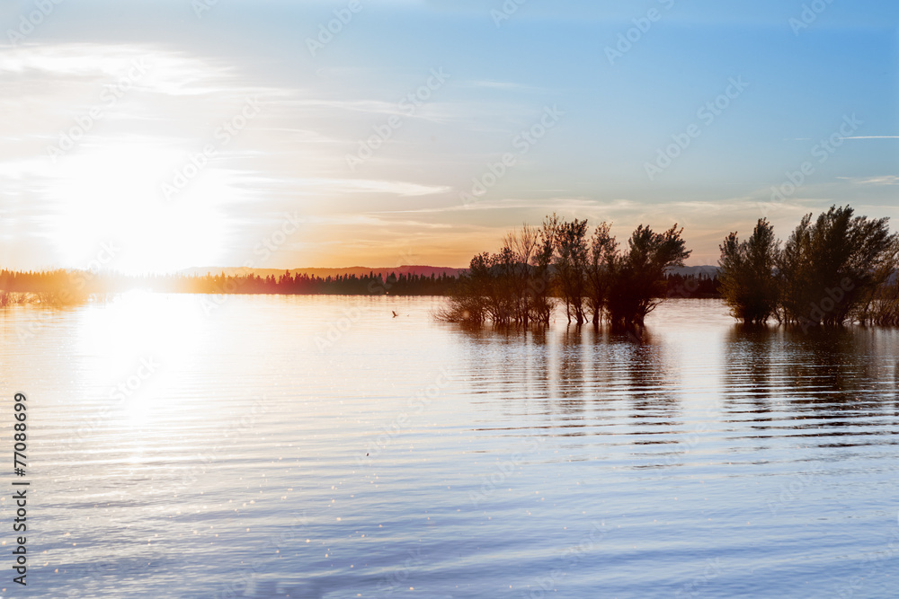 Paisaje del agua y los árboles secos. Lago y puesta de sol