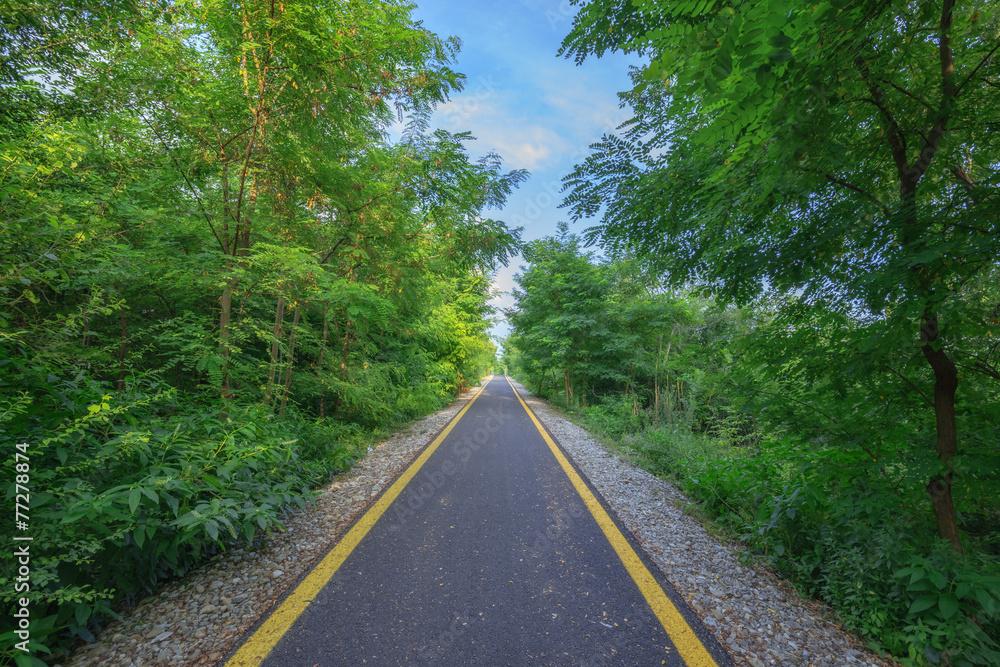 道路