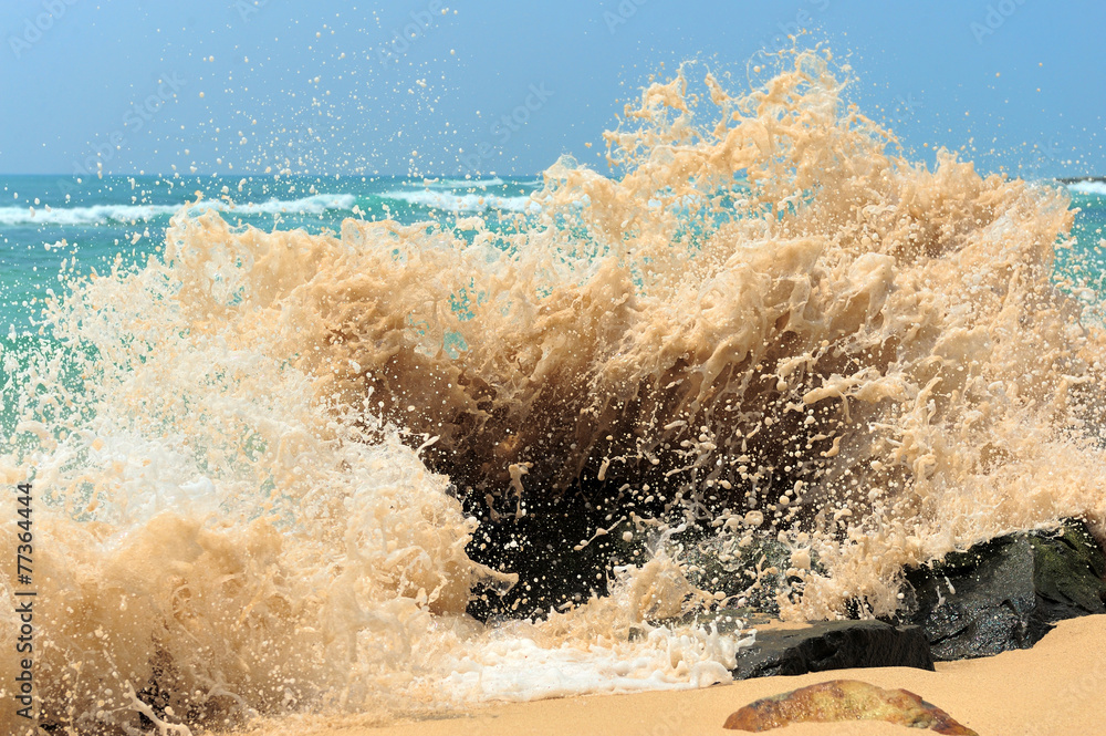 High wave breaking on the rocks