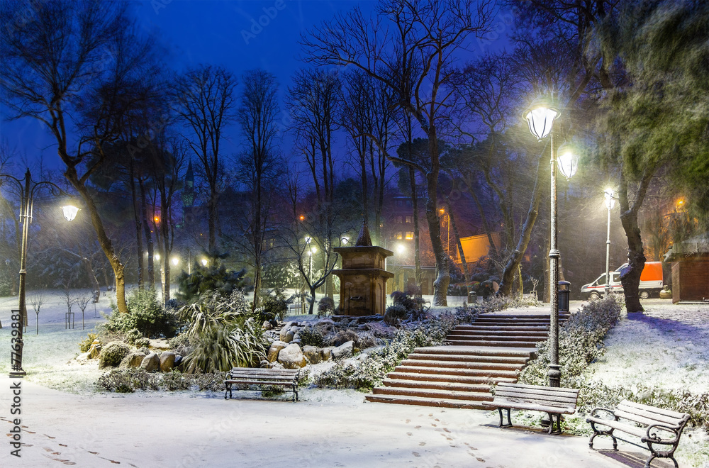 降雪期间伊斯坦布尔的花园-土耳其