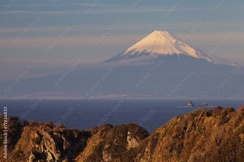 日本静冈县伊豆市的富士山和大海