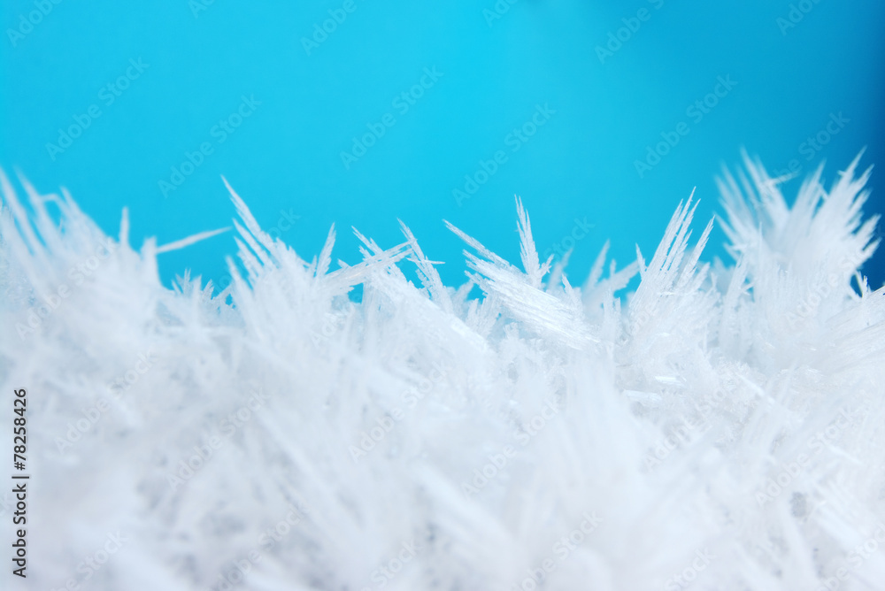 macro of frost