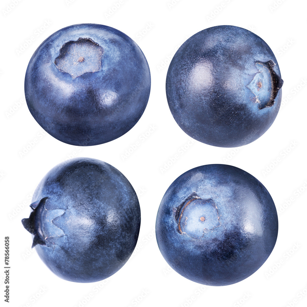 blueberries isolated