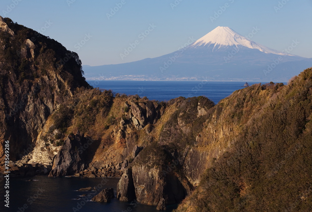 日本静冈县伊豆市的富士山和大海