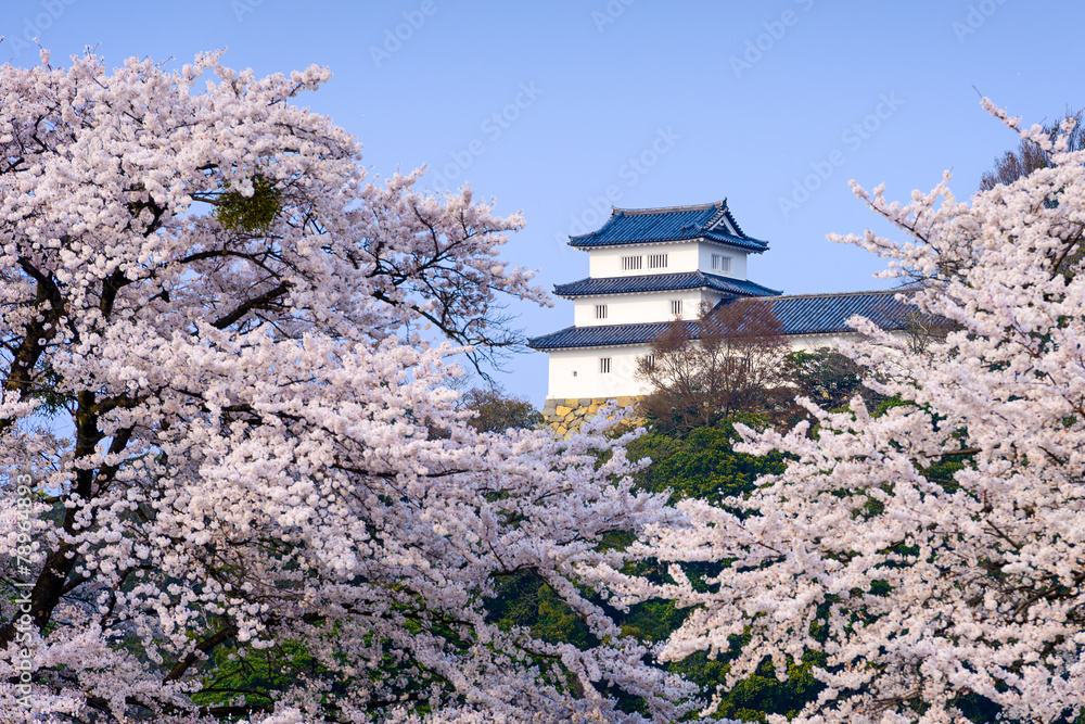 日本近江春日的近江城堡