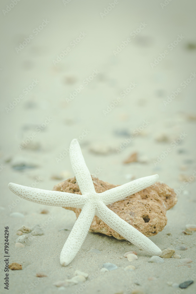 用复古滤镜风格特写海滩上的海星