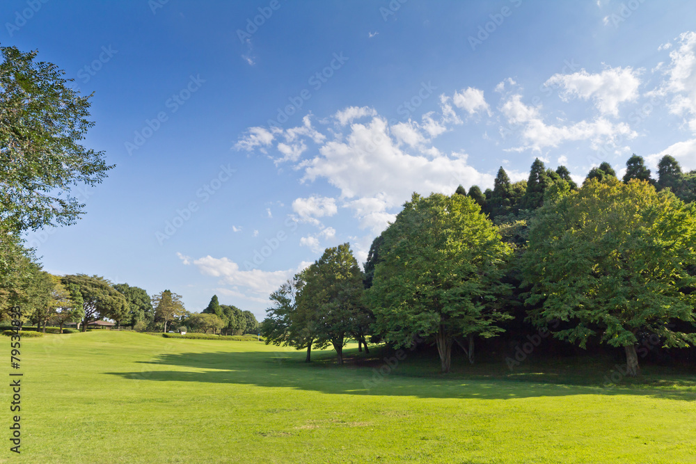 芝生の公園と青空 Park blue sky of the lawn