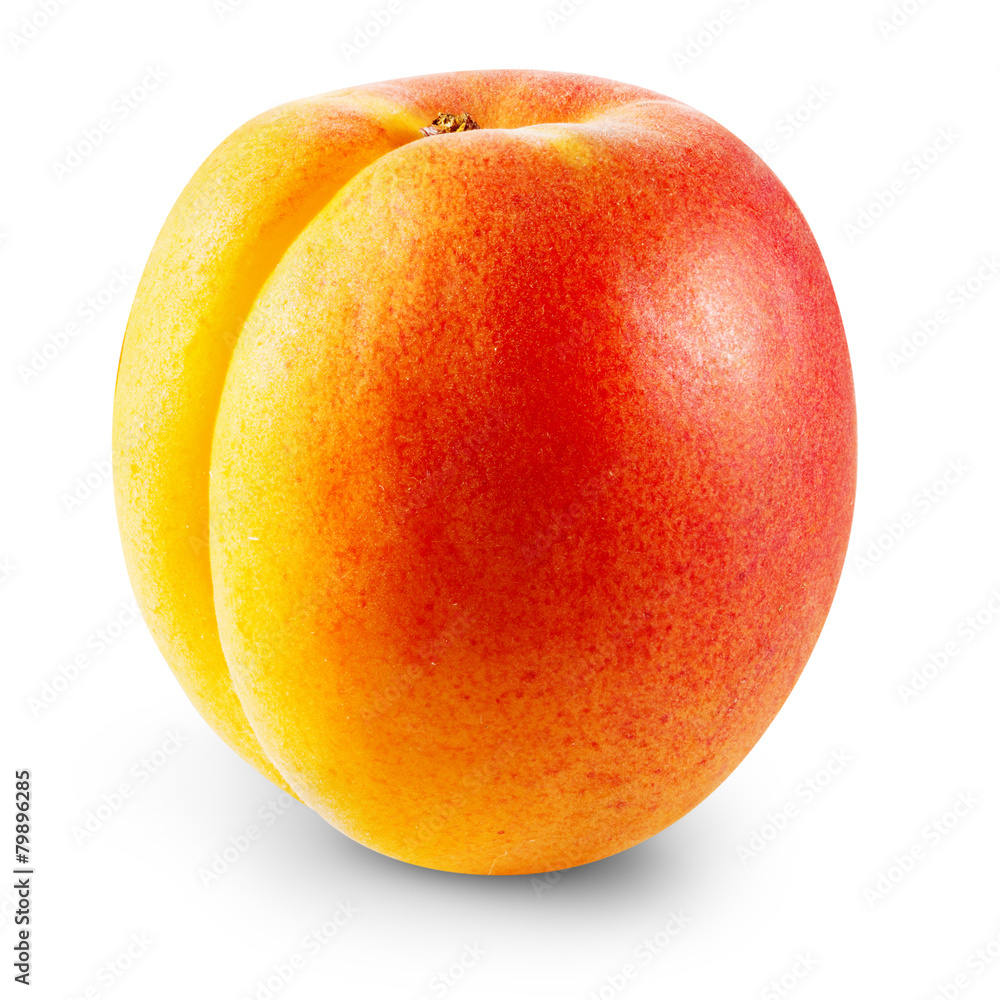 Apricot