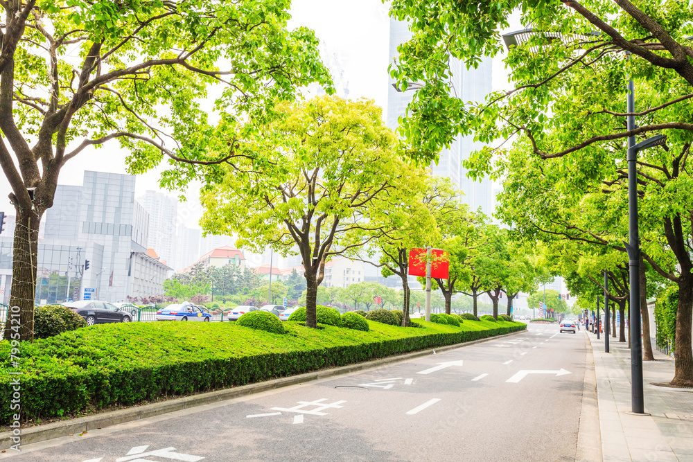 现代城市中绿树成荫的道路