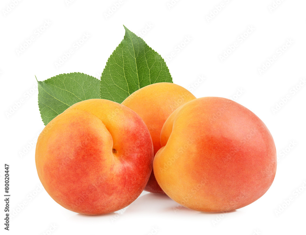 apricots isolated