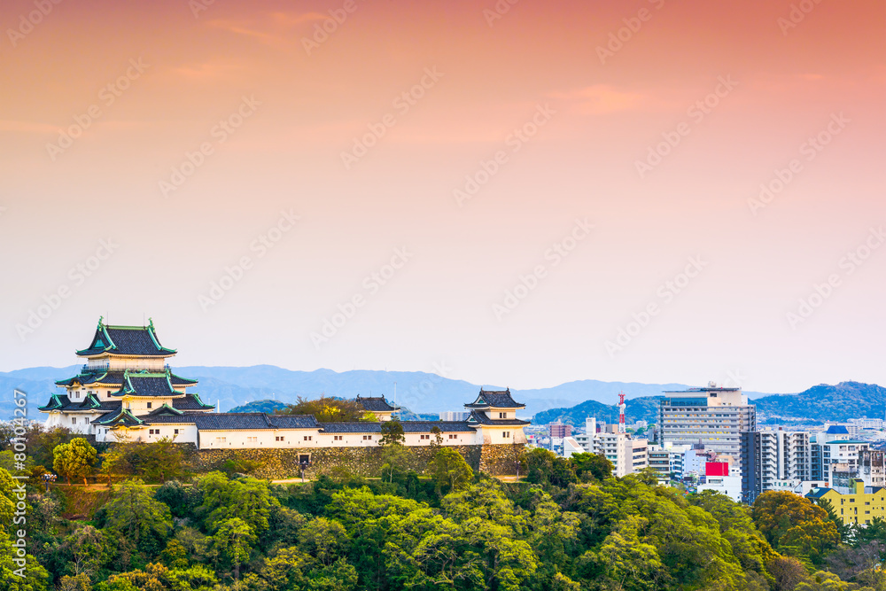 和歌山，城堡里的日本