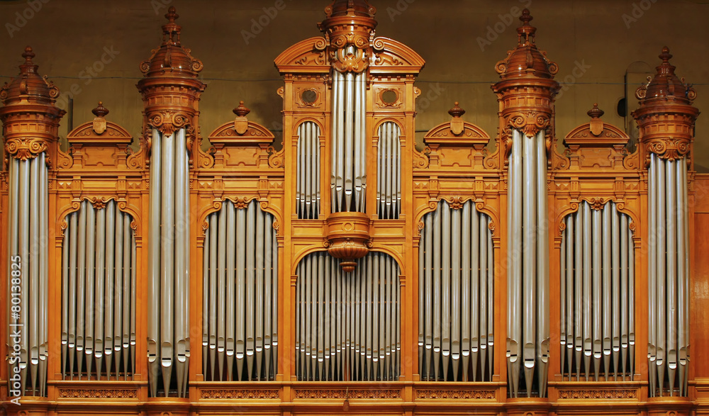 Organ