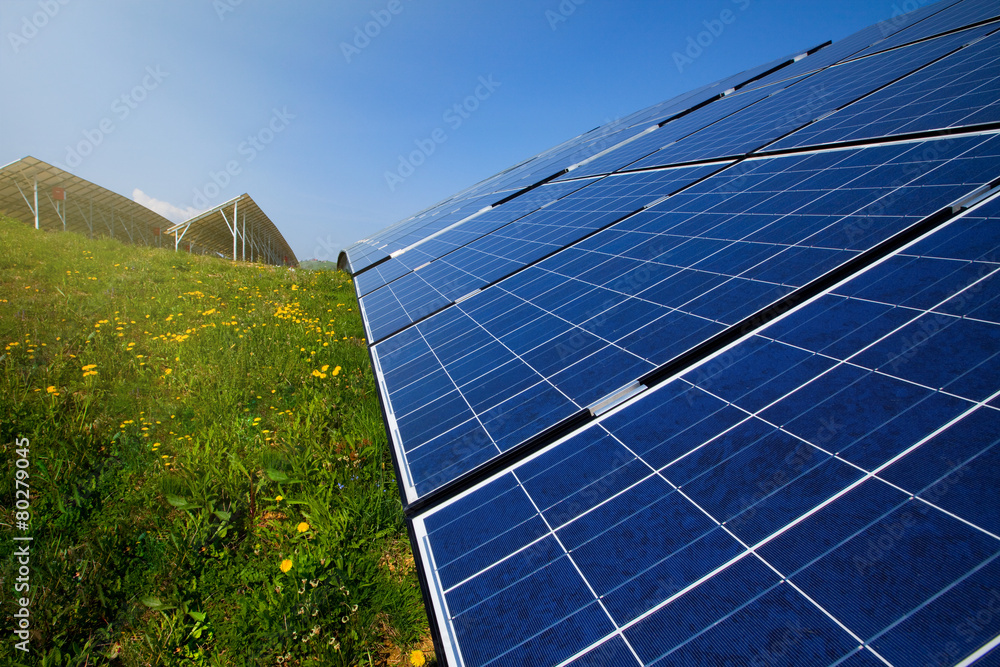 Solar panels in sunlight