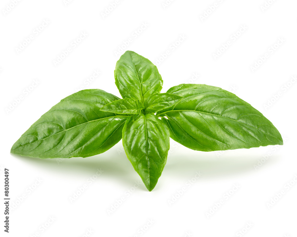 basil