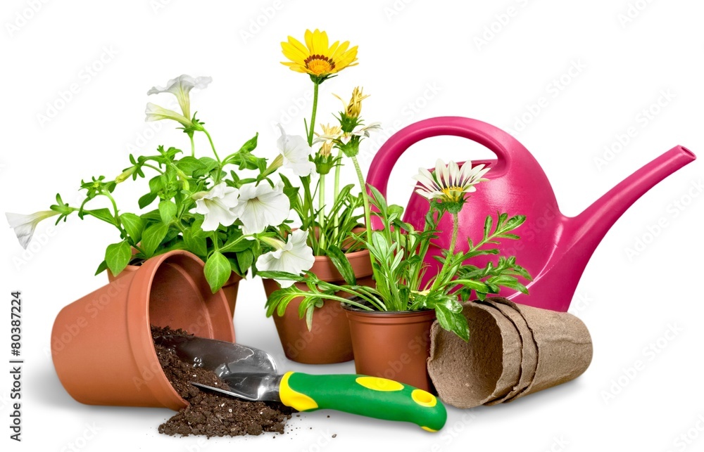 Gardening Equipment. Gardening Tools