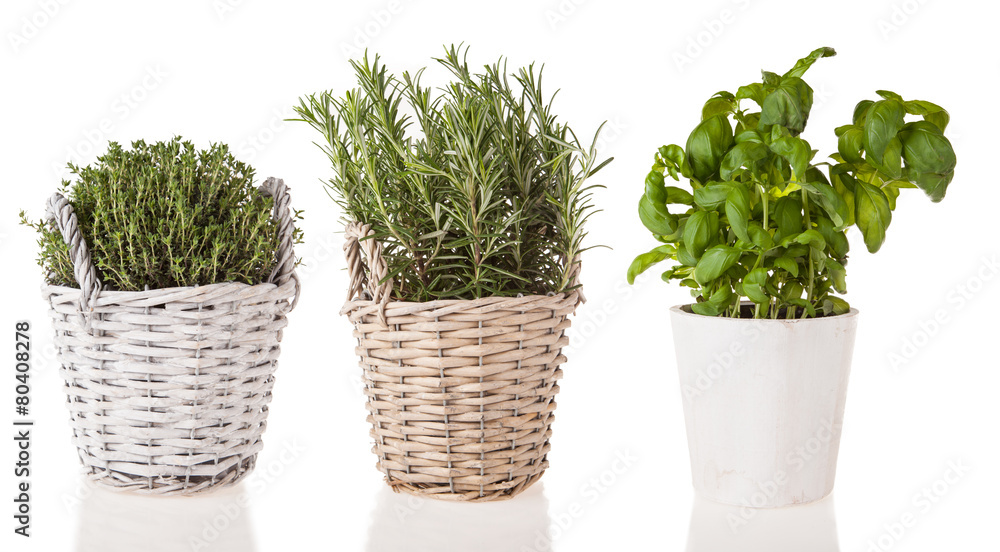 Wooden mortar with herbs on white background