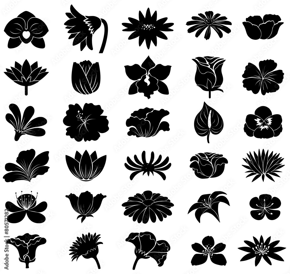 Black floral templates