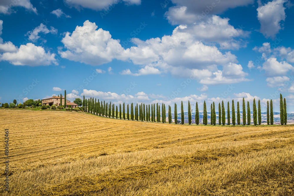 金色托斯卡纳景观，带农舍，Val dOrcia，意大利