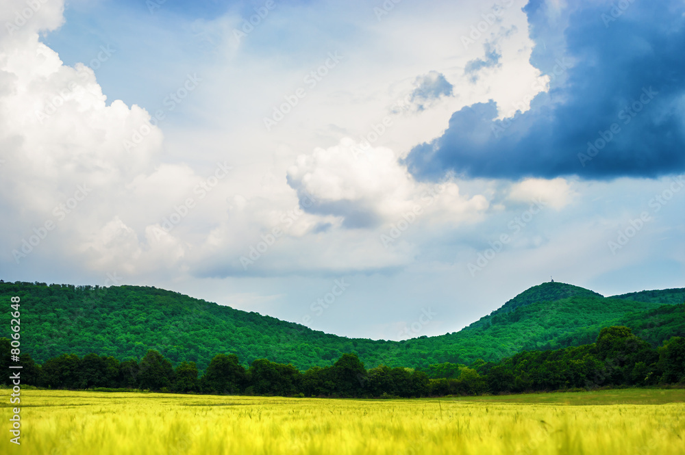 Buda hills landscape