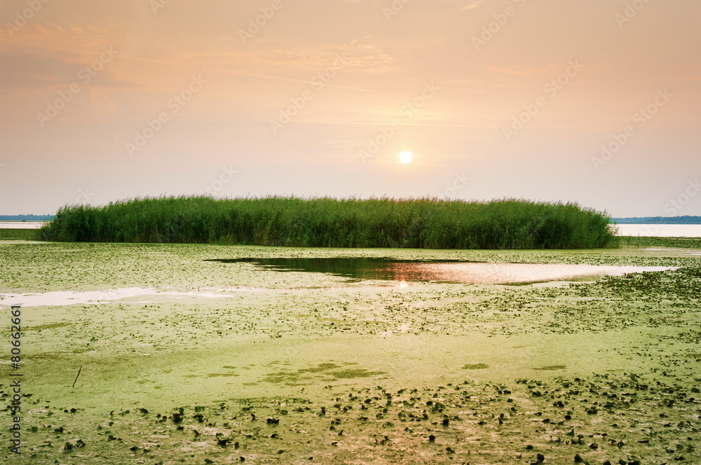 Lake Tisza Hungary