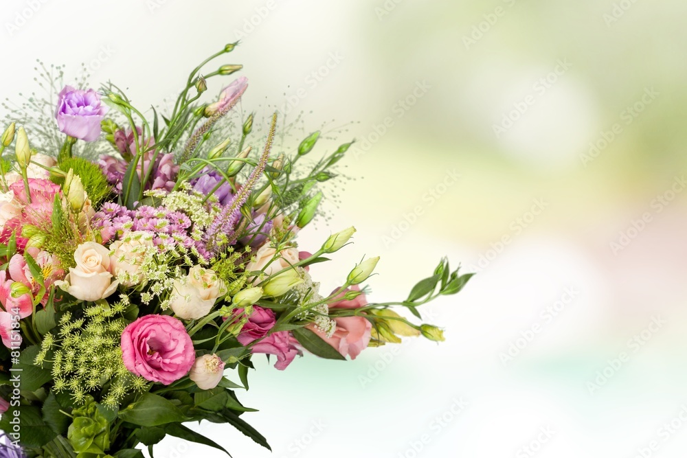 Flower. Tulips Bouquet isolated on white