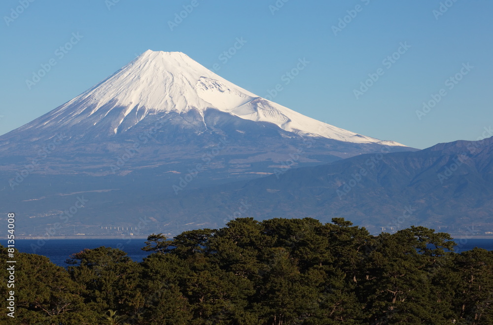 Mountain Fuji and sea from Izu city , Shizuoka .