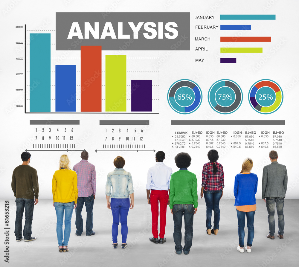 Analysis Information Bar Graph Data Statistic Concept