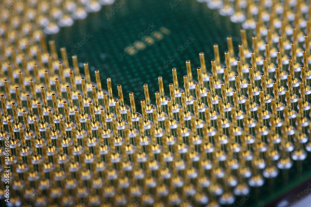 macro shot of computer processor