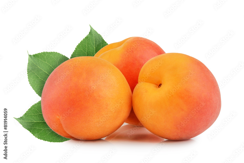 apricots isolated