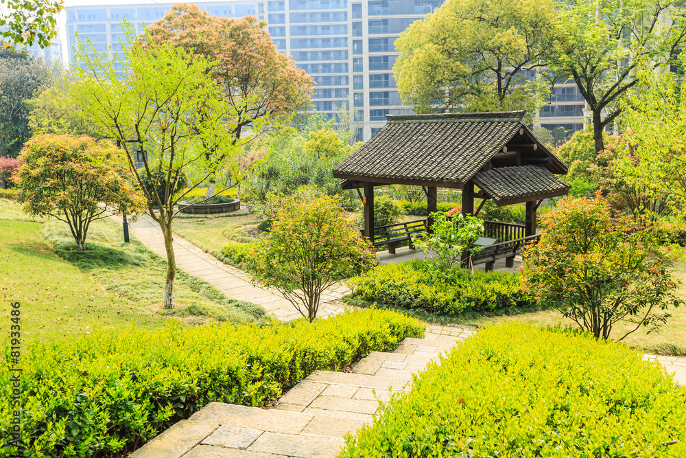 Community garden scenery