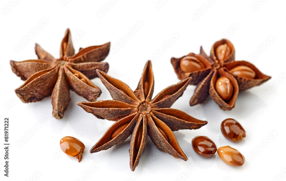 Star anise spice and seeds