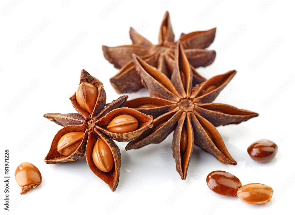 Star anise spice and seeds