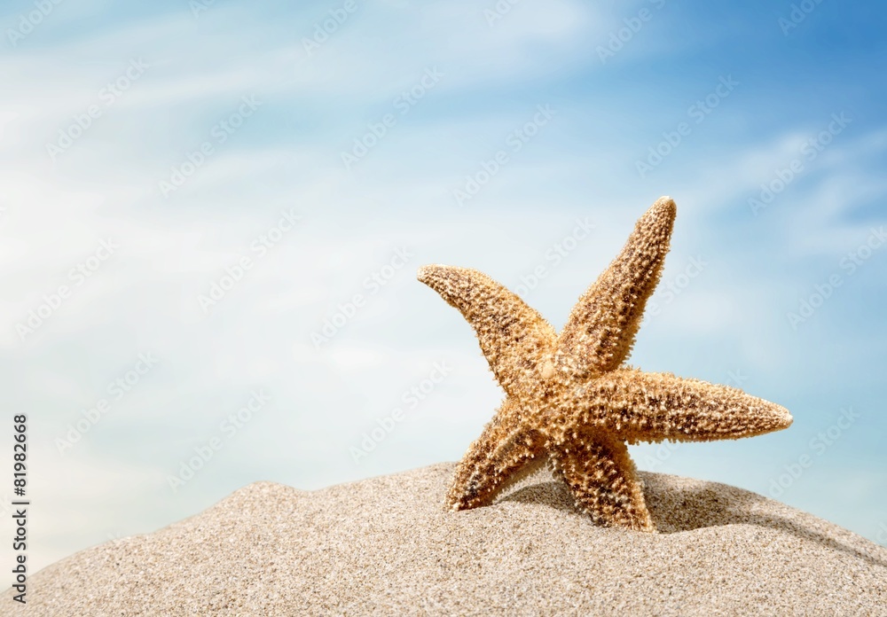 Beach. Starfish  with ocean , beach and seascape, shallow dof