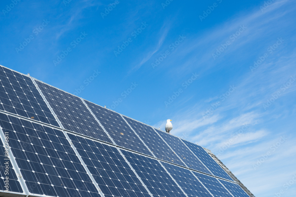 solar cell panel on houses roof, green energy