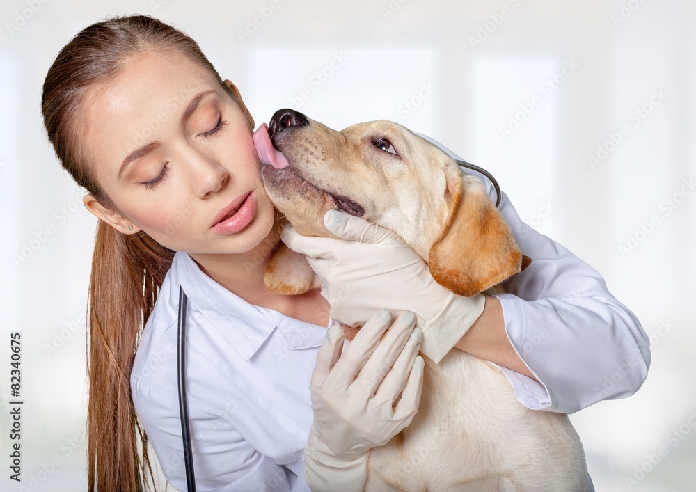 Adult. Cute dog giving a kiss to the vet after a checkup