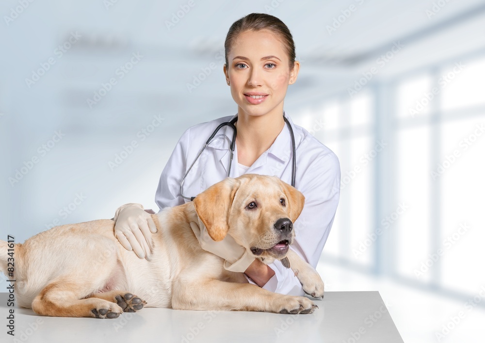 Vet. Young positive brunette veterinary woman with spaniel