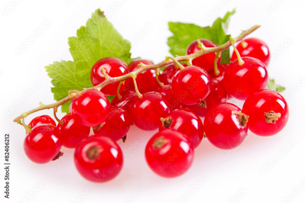 Red currant