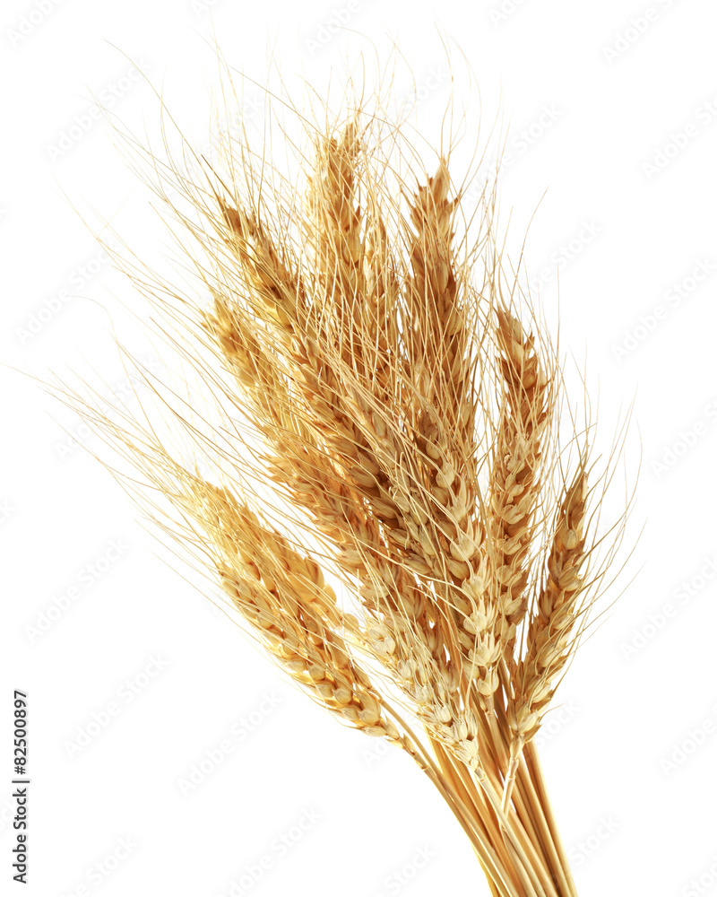 wheat