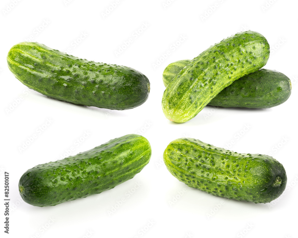 Cucumber