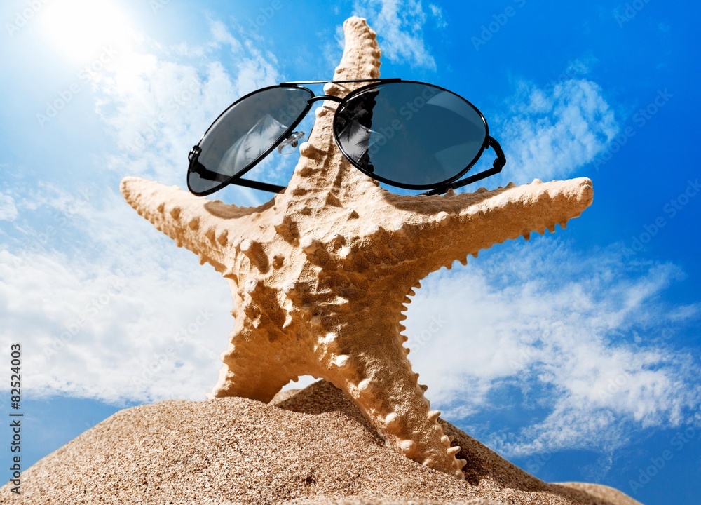 Sunglasses. Beach Starfish with Shades