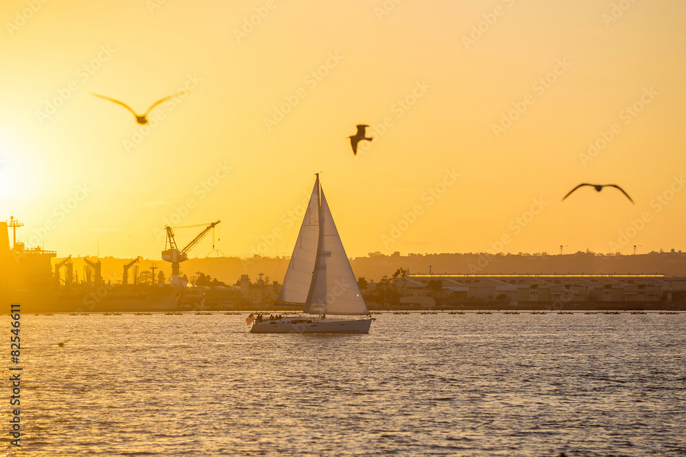 San Diego Waterfront Public Park, Marina and the San Diego Skyli