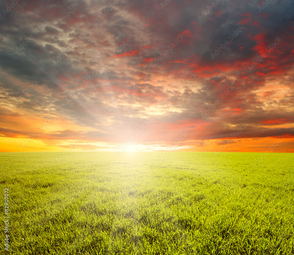  field and sun