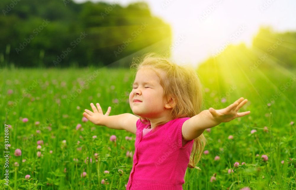  girl on the meadow