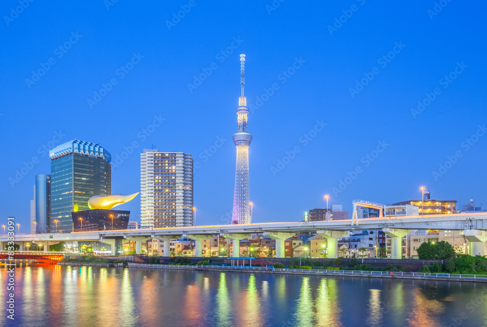 东京天树地标和隅田河的夜景。