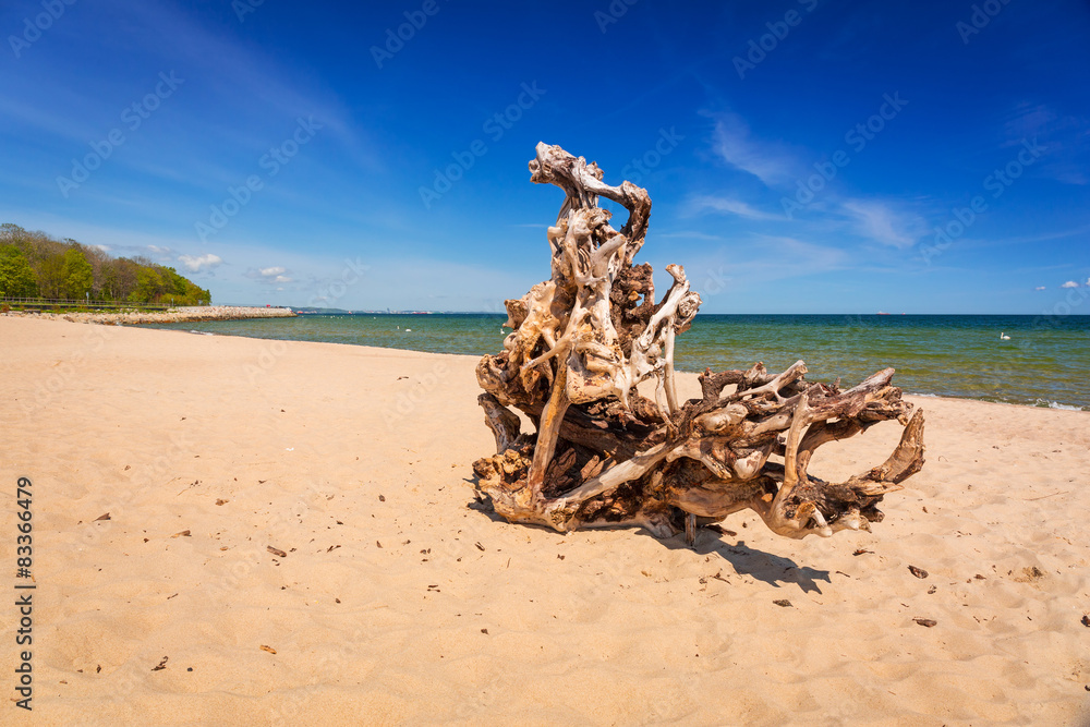 波兰波罗的海美丽的海滩